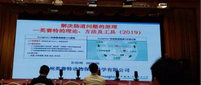 泰山 論壇 第十五屆 2019 動(dòng)物營(yíng)養(yǎng)與飼料科學(xué)技術(shù)交流峰會(huì)圓滿落幕